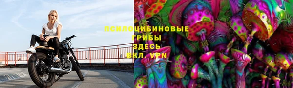 прущая мука Елизово