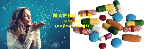 соль ск Ельня