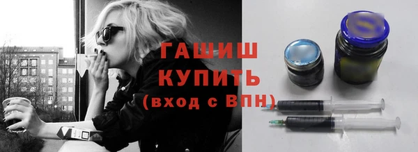 соль ск Ельня