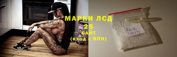 соль ск Ельня