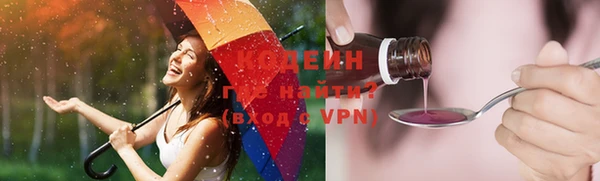 соль ск Ельня
