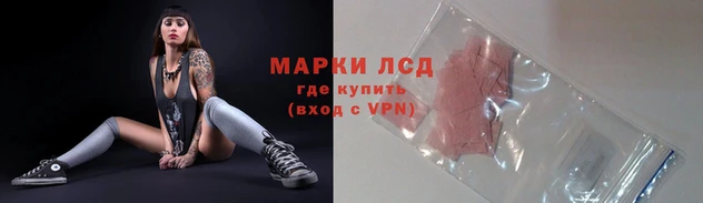 соль ск Ельня