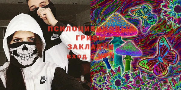 мдпв Заволжье