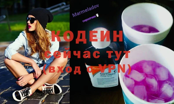 соль ск Ельня