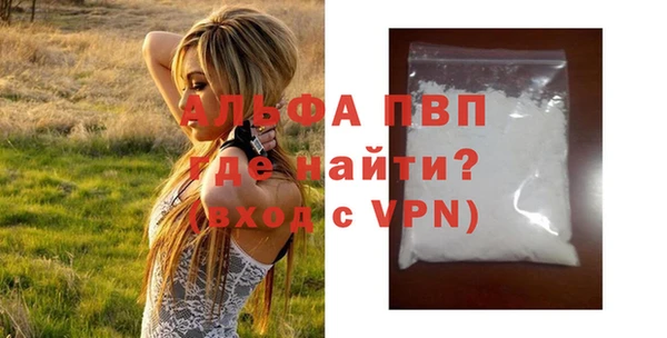 соль ск Ельня
