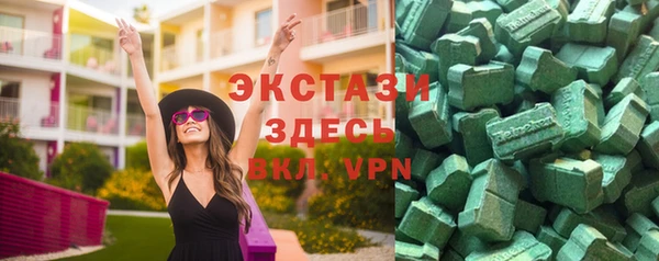 соль ск Ельня