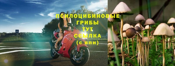 первитин Елабуга