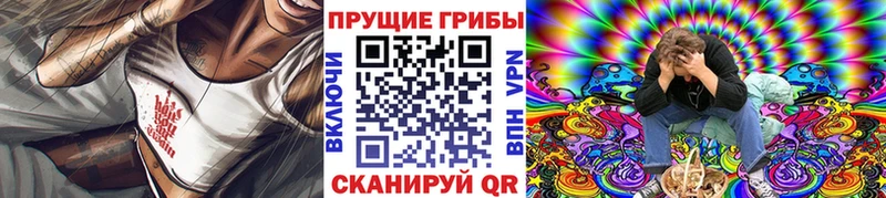 Галлюциногенные грибы Cubensis  Купить где  Изобильный 